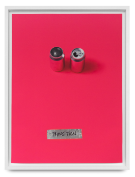 Borjana Ventzislavova.