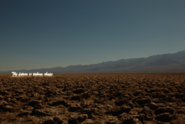 Borjana Ventzislavova.