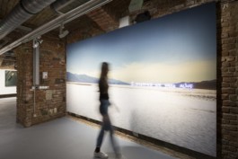 Borjana Ventzislavova.