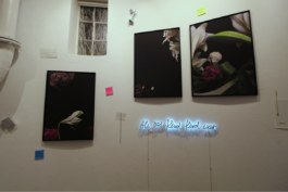 Borjana Ventzislavova.