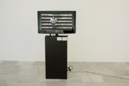 Borjana Ventzislavova.