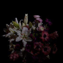 Borjana Ventzislavova.