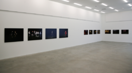 Borjana Ventzislavova.