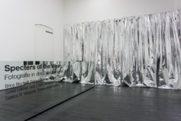 Borjana Ventzislavova.