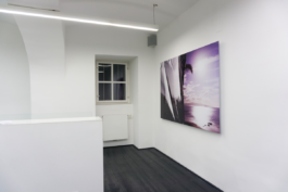 Borjana Ventzislavova.