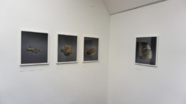 Borjana Ventzislavova.