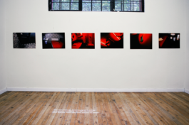 Borjana Ventzislavova.