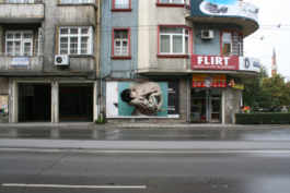 Borjana Ventzislavova.