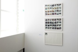 Borjana Ventzislavova.