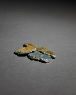 Borjana Ventzislavova.