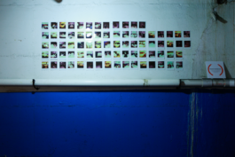 Borjana Ventzislavova.