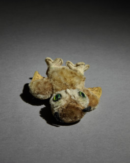 Borjana Ventzislavova.