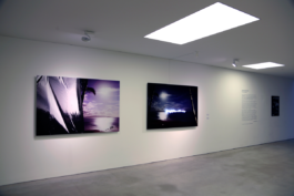 Borjana Ventzislavova.