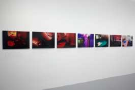 Borjana Ventzislavova.