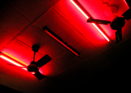 Borjana Ventzislavova.