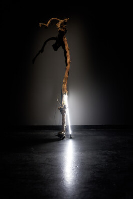 Borjana Ventzislavova.