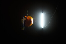 Borjana Ventzislavova.