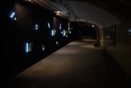 Borjana Ventzislavova.