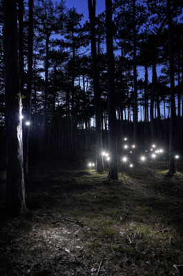 Borjana Ventzislavova.