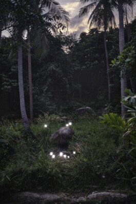 Borjana Ventzislavova.