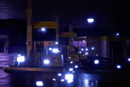 Borjana Ventzislavova.