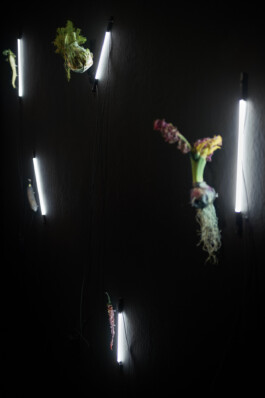 Borjana Ventzislavova.