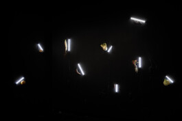 Borjana Ventzislavova.