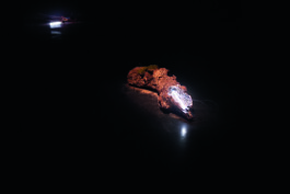 Borjana Ventzislavova.