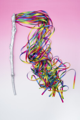 Borjana Ventzislavova.