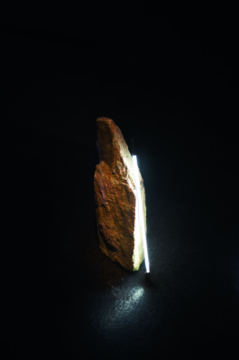 Borjana Ventzislavova.